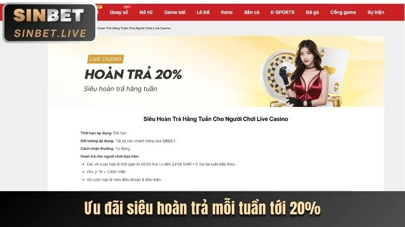 Hoàn trả cao hơn